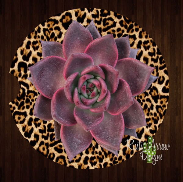 Cheetah Purple Succulent Set of 2 Car Coasters - Car Coasters
