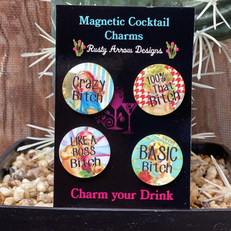 Serape Cactus Magnetic Cocktail Charms