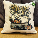 Farm Fresh Pumpkins Decorative Throw Pillow - Pillow