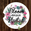 Succulent Wreath Bloom Where You are Planted Set of 2 Car Coasters - Car Coasters